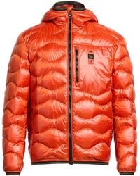 Blauer - Puffer - Lyst