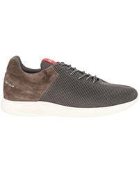 Ambitious - Trainers - Lyst