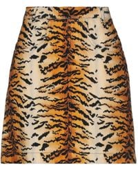 Philosophy Di Lorenzo Serafini - Mini Skirt - Lyst