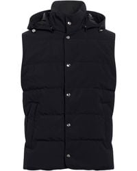 Montecore - Gilet - Lyst