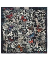 Zadig & Voltaire - Blondie Butterfly Lace 65 Scarf - Lyst