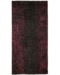Zadig & Voltaire - Judy Leopard Scarf - Lyst