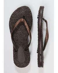 elsie jacobsen shoes