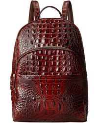 universal camera bolsa