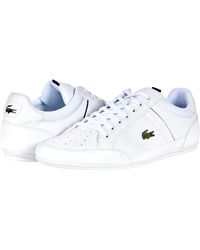 black lacoste chaymon