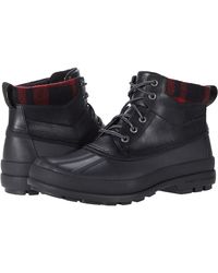 sperry commander chukka