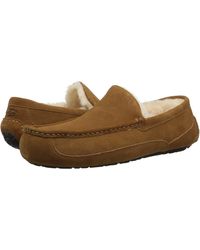 ugg ascot wide