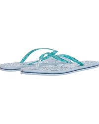 vera bradley flip flops amazon