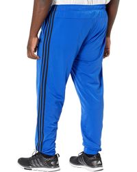 adidas Synthetic Adapt To Chaos Astro Pants in Black for Men - Lyst