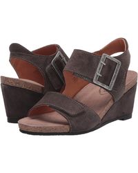 taos wedges