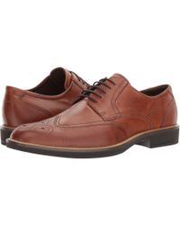 ecco brogues brown