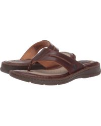 born nicolaas clog