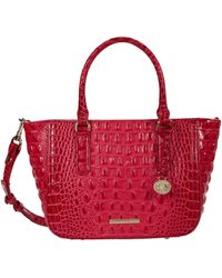 brahmin for sale