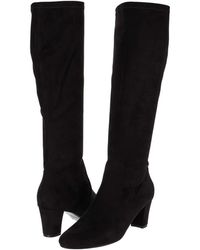 vaneli venus riding boots