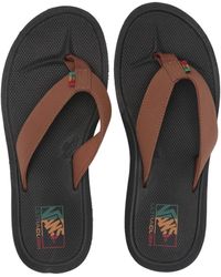 brown vans flip flops