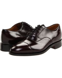 maslow cap toe oxford