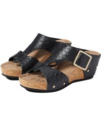 walking cradles shoes