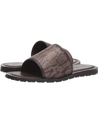 roberto cavalli men's slides