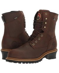 irish setter mesabi black