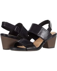 netley bright clarks