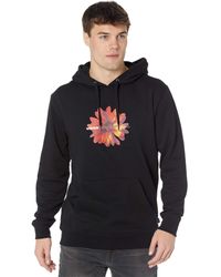 vans future standard pullover hoodie