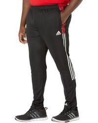 adidas 17 pants