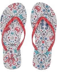 vera bradley flip flops amazon