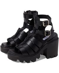 steve madden cosmic