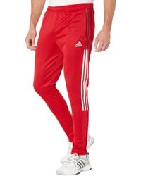 adidas Casual pants and pants for Men | Online Sale up to 54% off | Lyst