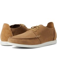 shacrelite low