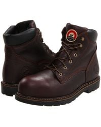 83832 irish setter