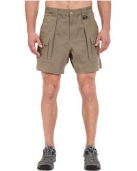 Columbia Cotton Brewha Ii Shorts in 