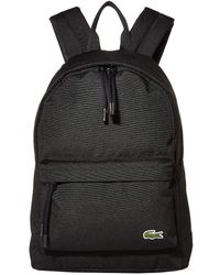 lacoste backpacks