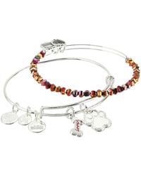 alex and ani crystal dog bracelet