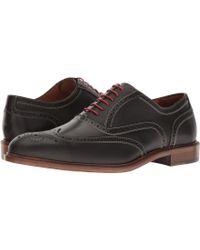 Lyst - Massimo Matteo 6-eye Wing Tip in Brown for Men Massimo Matteo - 6-eye Wing Tip - Lyst