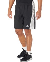 supernova split shorts