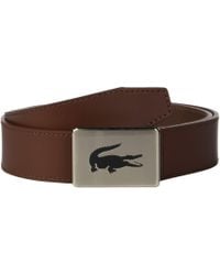 lacoste belt price