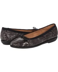 Aerosoles Womens Exhibet Ballet Flat Aerosoles Womens Exhibet Ballet Flat