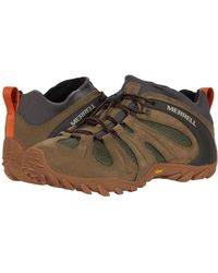 merrell chameleon 8 stretch olive
