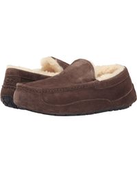 ugg ascot bomber slipper