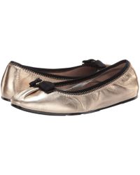 ferragamo my joy velvet