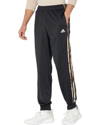 adidas Sweatpants for Men - Up to 40% off at Lyst.com