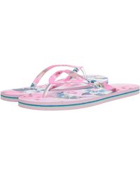 vera bradley flip flops amazon