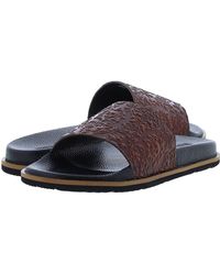 Robert Graham Sandals, slides and flip 