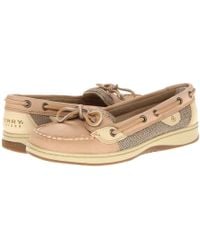 sperry angelfish confetti