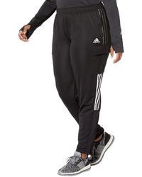 winterized tiro pants