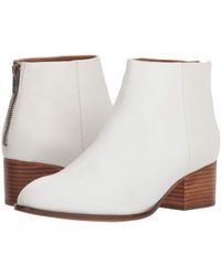 macys tahari asl