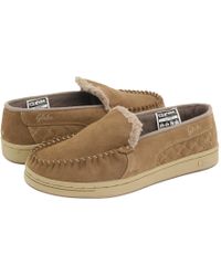 globe slip ons