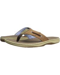 Sperry Top-Sider Sandals, slides and 