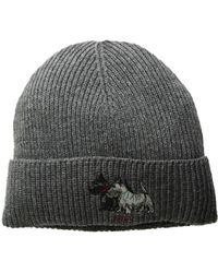 polo dog beanie